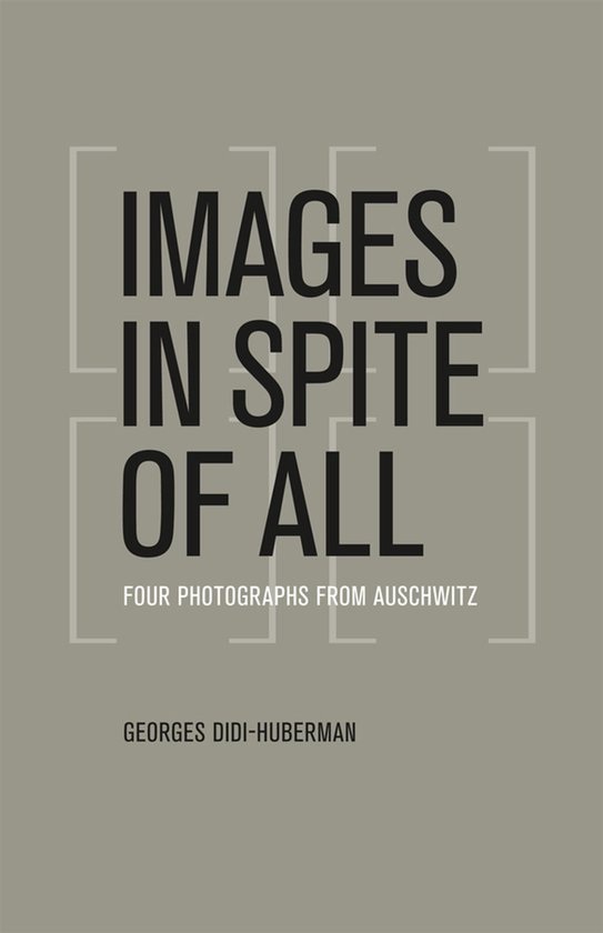 Boek kaft met de titel "IMAGES IN SPITE OF ALL FOUR PHOTOGRAPHS FROM AUSCHWITZ" in dikke zwarte letters. Grijze achtergrond.