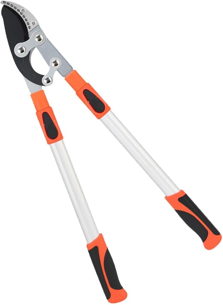 Takkenschaar Uitschuifbaar - Telescopische Snoeischaar - Tuinonderhoud - Lange Steel Bereik - Tot 97 cm - Willekeurig