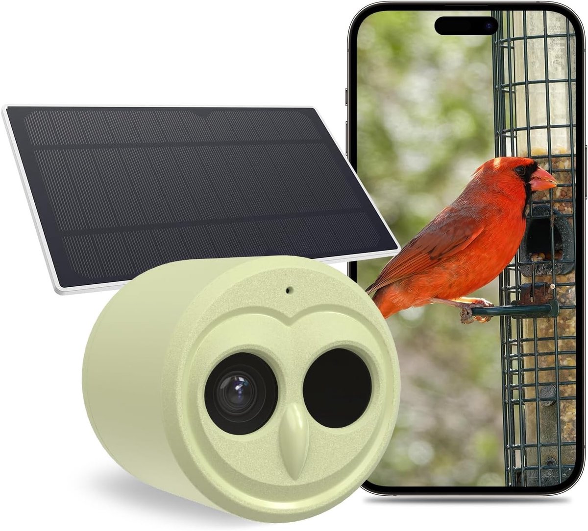Vogelkijkcamera - Draadloos - AI Vogelidentificatie - Weerbestendig - Voor Vogelliefhebbers