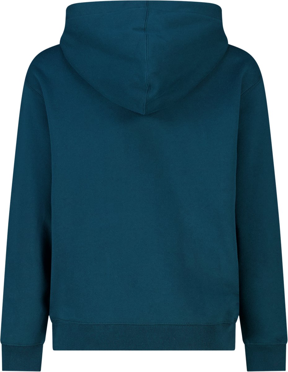 Hoodie Sealey Jr