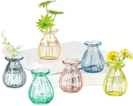 Set van 6 Kleine Glazen Vazen voor Tafelversieringen - Kleurrijke Vazen voor Bloemen, Planten en Boeketten in Woonkamer en Eetkamer voor Bruiloften en Feesten