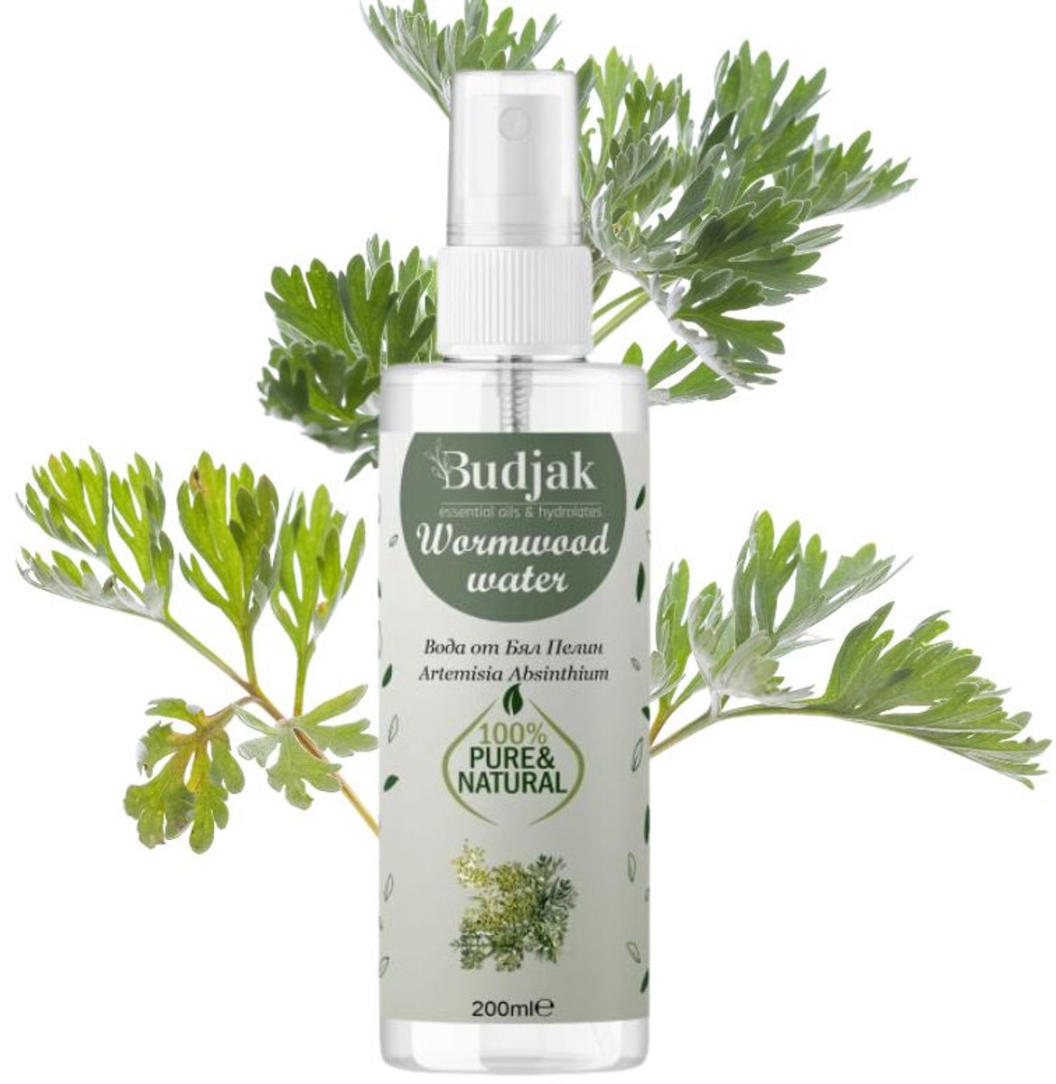 Biologische Bloemwater van witte alsem (Artemisia absinthium) - bittere zuiverende eigenschappen 200ml