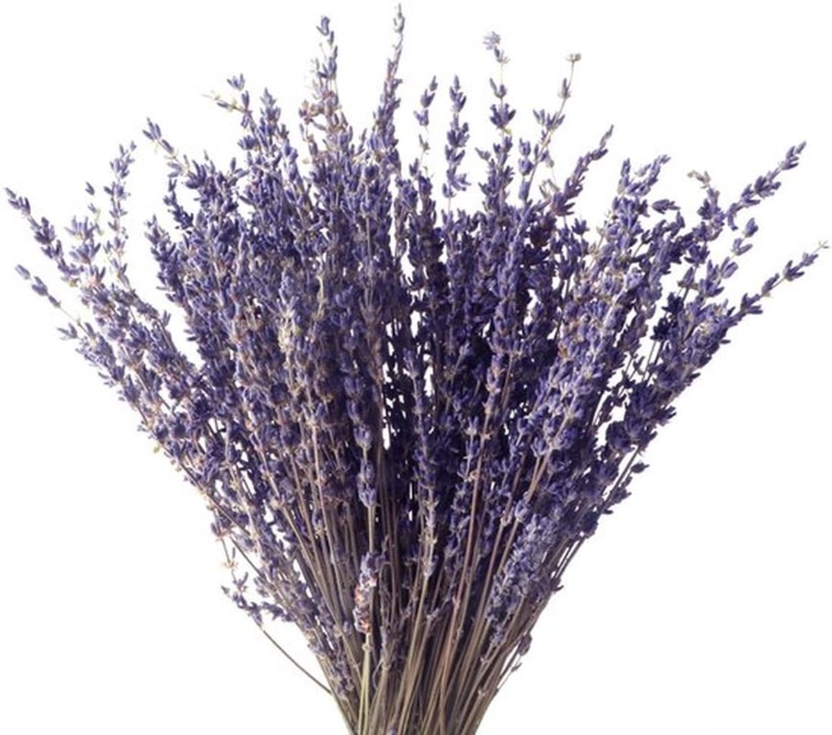 Lavendelboeket Natuurlijk Gedroogd - Boho-Stijl - Bloemstukken Kunstbloemen - Decoratie Thuis - Echte Bloemendecoratie - Hoogwaardige Kwaliteit - Bloemstuk