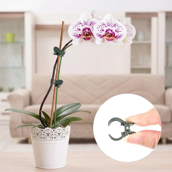 Set van 22 Orchideensteunen met 22 Clips voor Binnen en Buiten — afbeelding 5