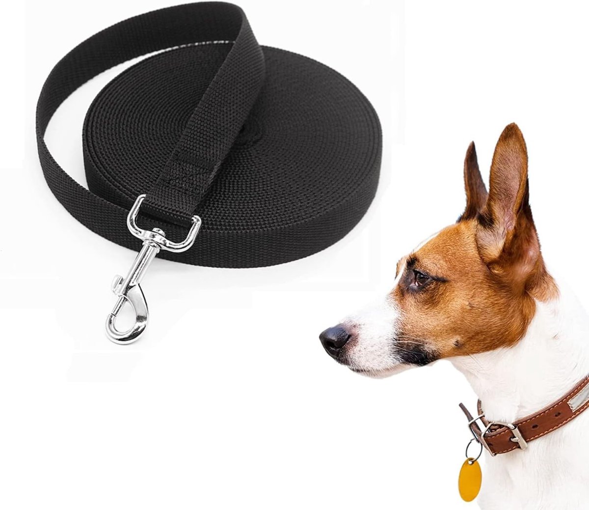 Hondenriem - Zwart - 10 m - Robuust Nylon - Voor Kleine en Grote Honden