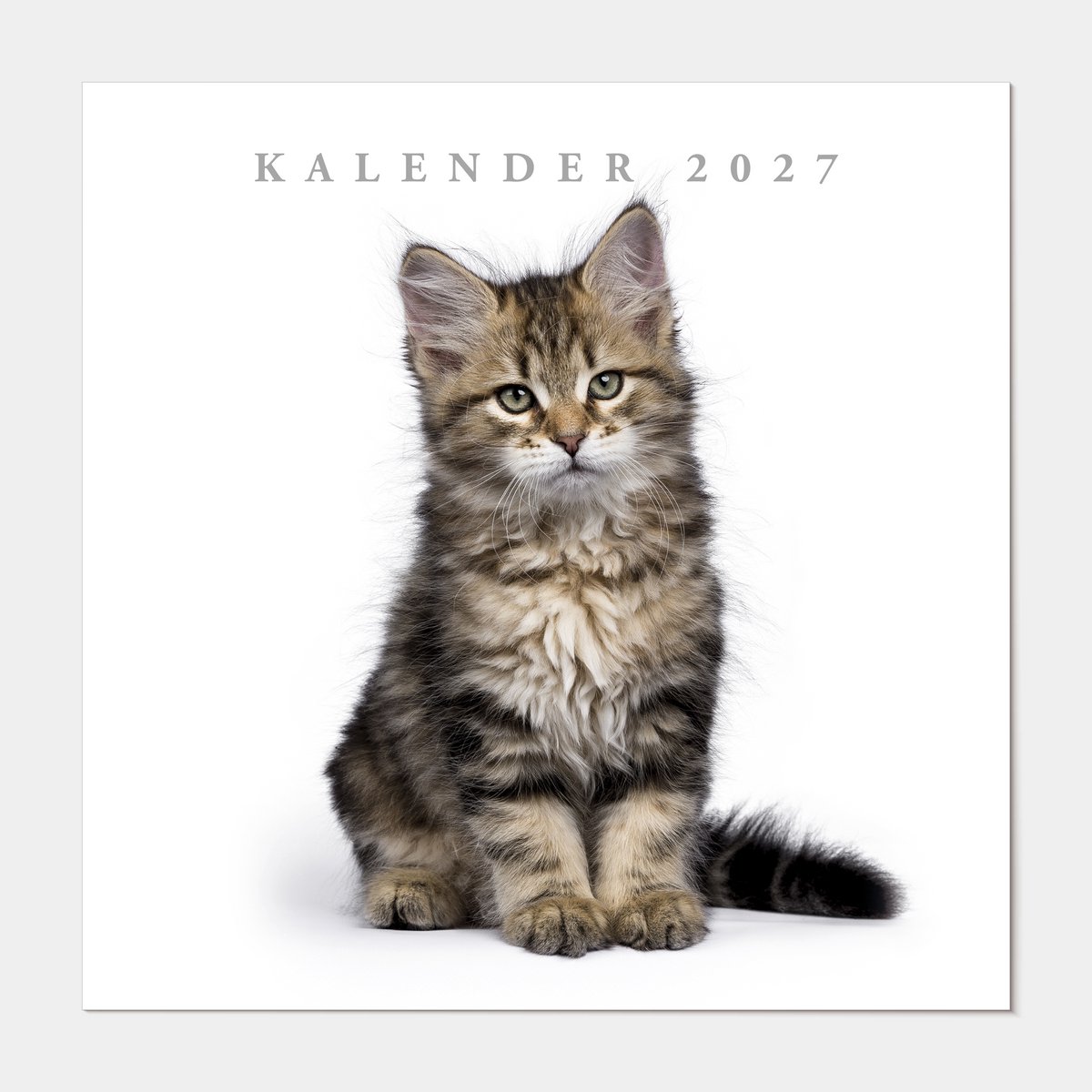 Hobbit - Jaarkalender 2027 - Maandplanner - 30x30cm - Katten