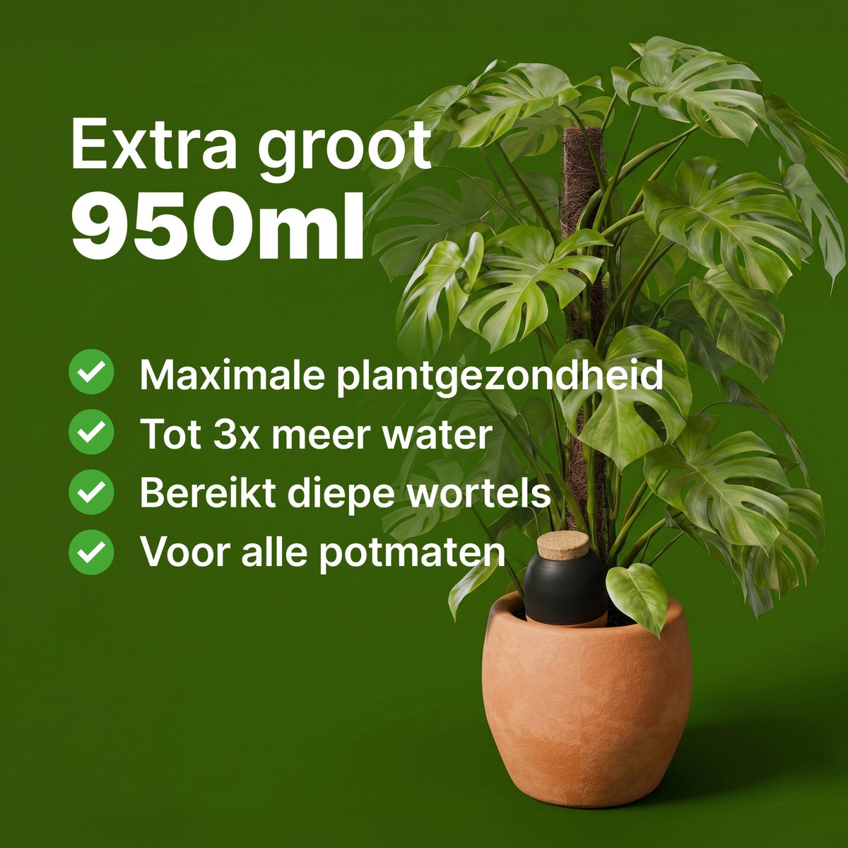 MINISMUS Waterdruppelaar Terracotta 950ml Set van 1 - Bewateringsbal - Zelfbewaterend Watergeefsysteem voor Kamerplanten - Waterbol voor Binnen en Buiten - Automatische Beregening tot 14 dagen - Vakantie Plantenverzorging - Olla thumbnail 4