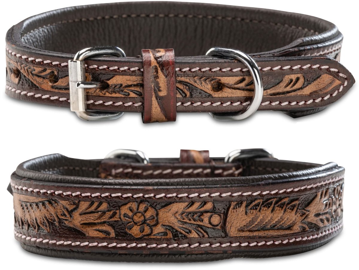 Dailygoods- Hondenhalsband Lederen - Verstelbaar - Gewatteerd - Robuust - Buffelleer - Roestvrij staal - Handgemaakt - Halsband