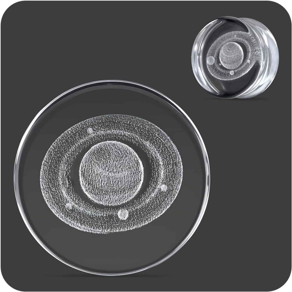 Sieraden helder glas octopus oordopjes tunnels, meters voor uitgerekte oorpiercings.