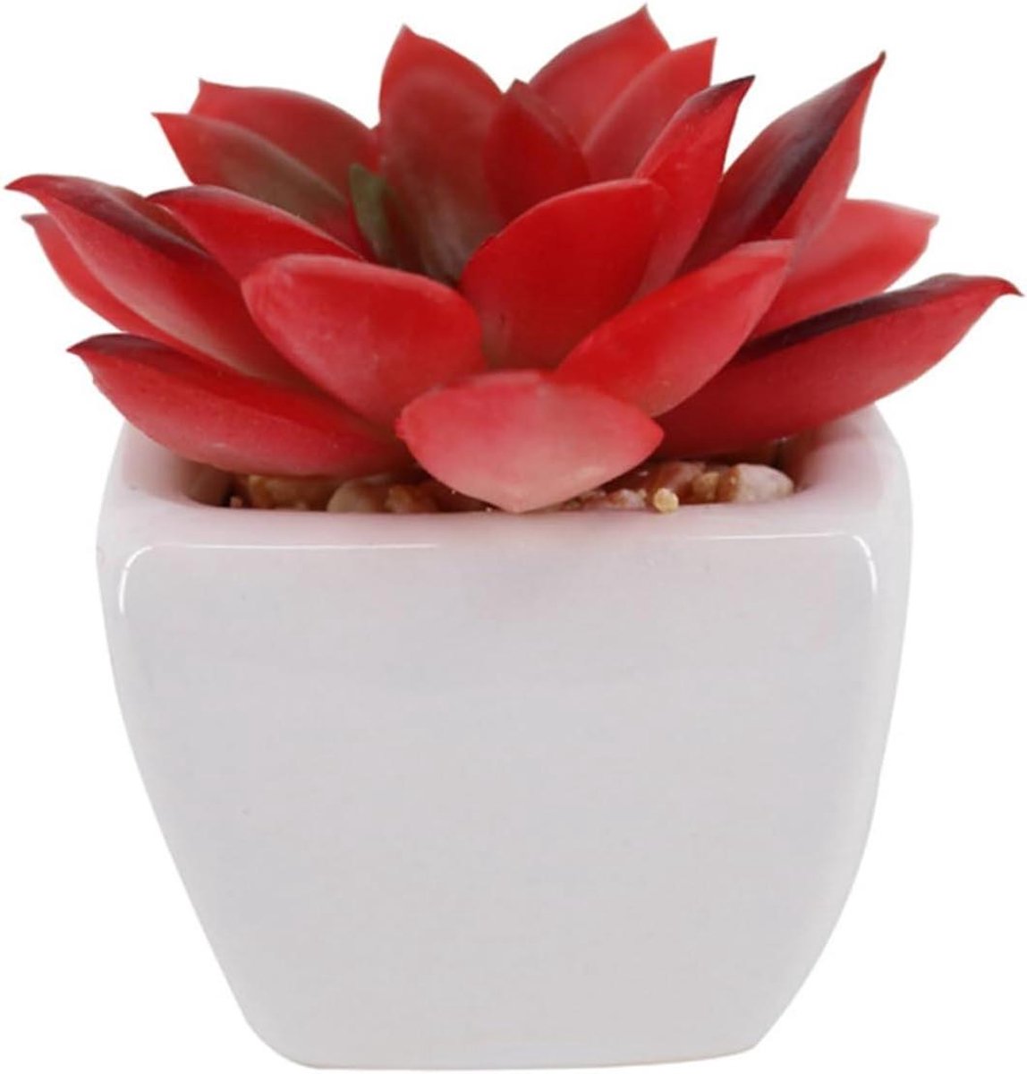 Kunstplanten Vetplantjes - Mini Bonsai - Woondecoratie - Realistische Uitstraling - 6 stuks - Wit