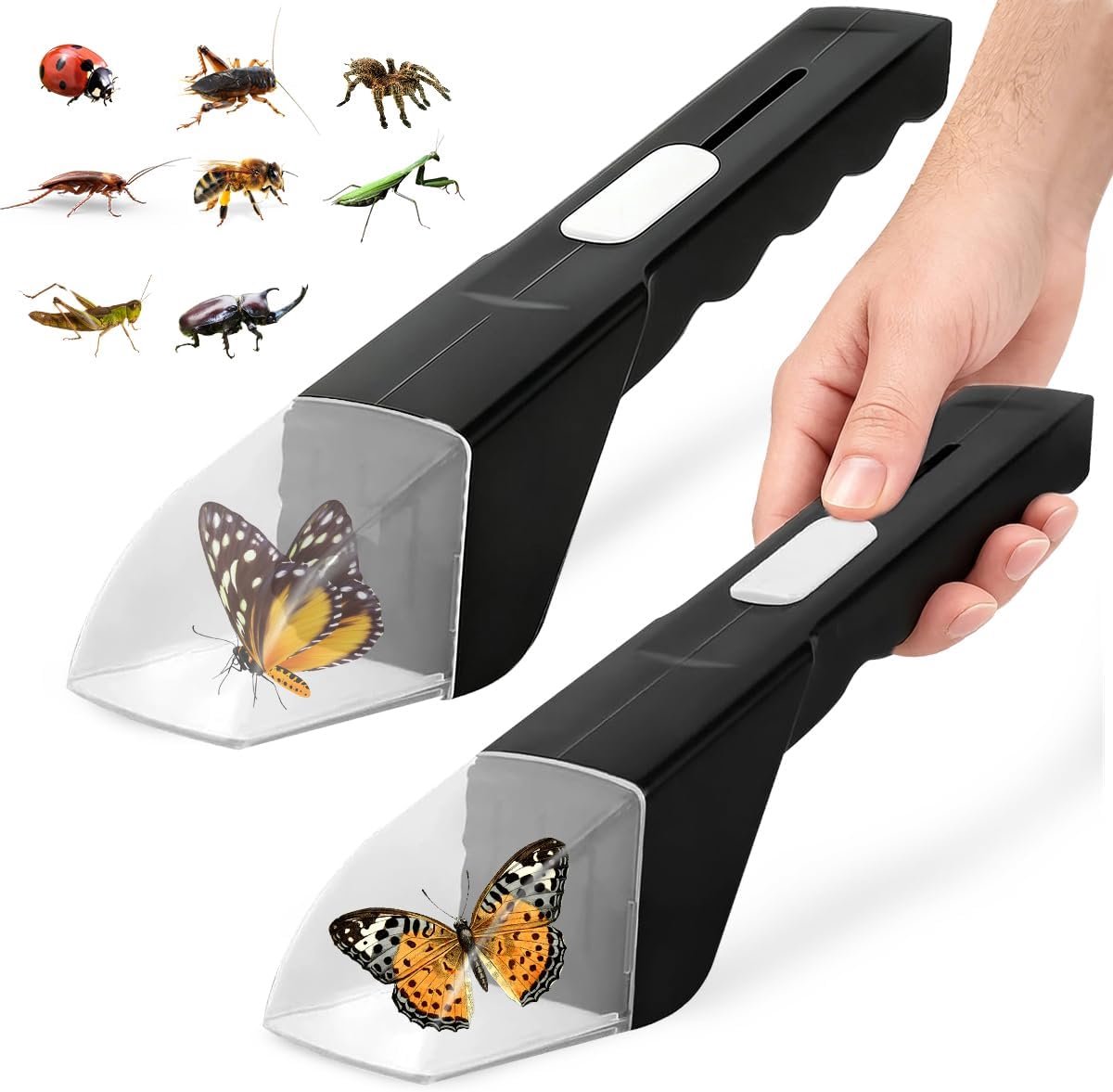 Insectenvanger