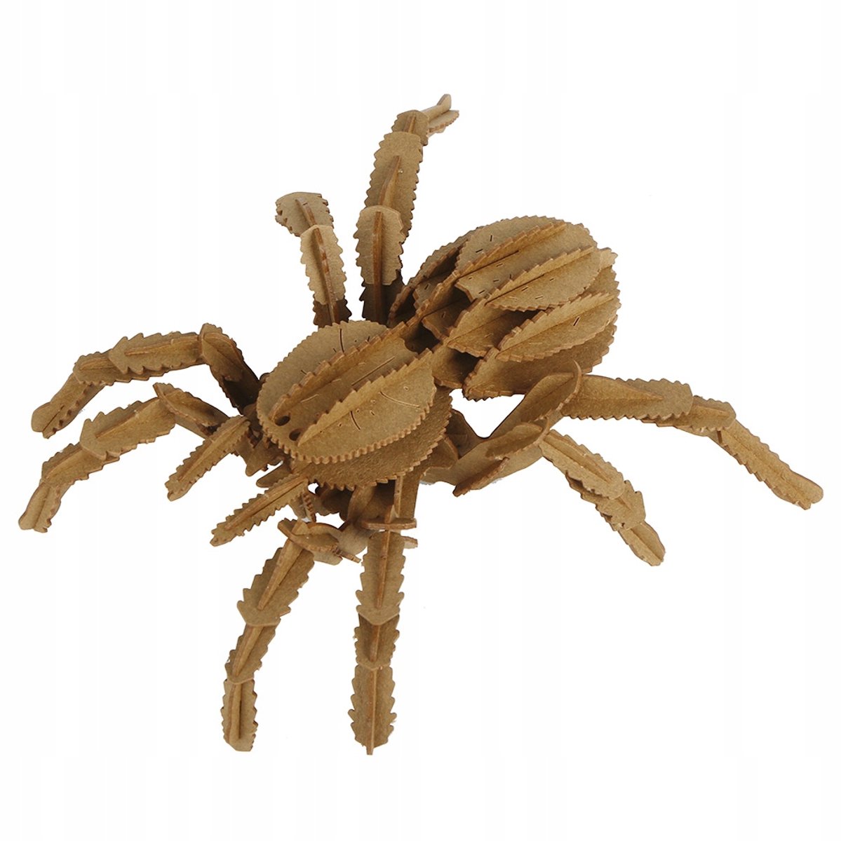 3D Tarantula Puzzel - 64 Stukken, Leeftijd 6+