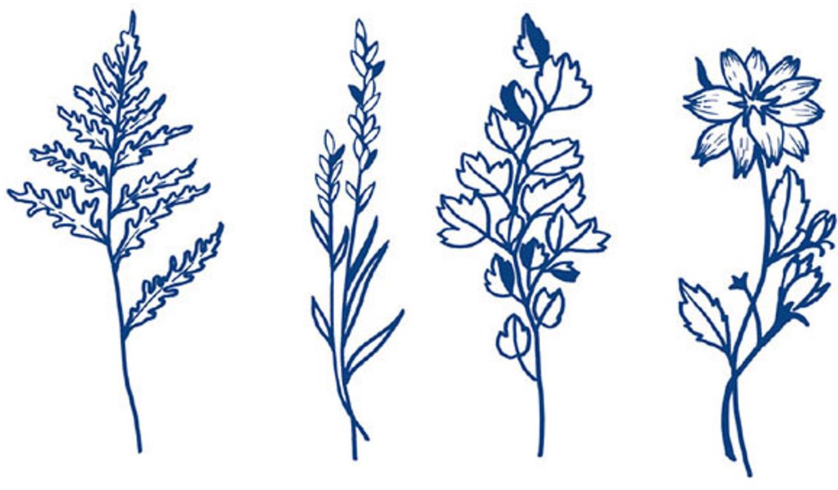 Tijdelijke tattoo Botanical Whispers 2 weken