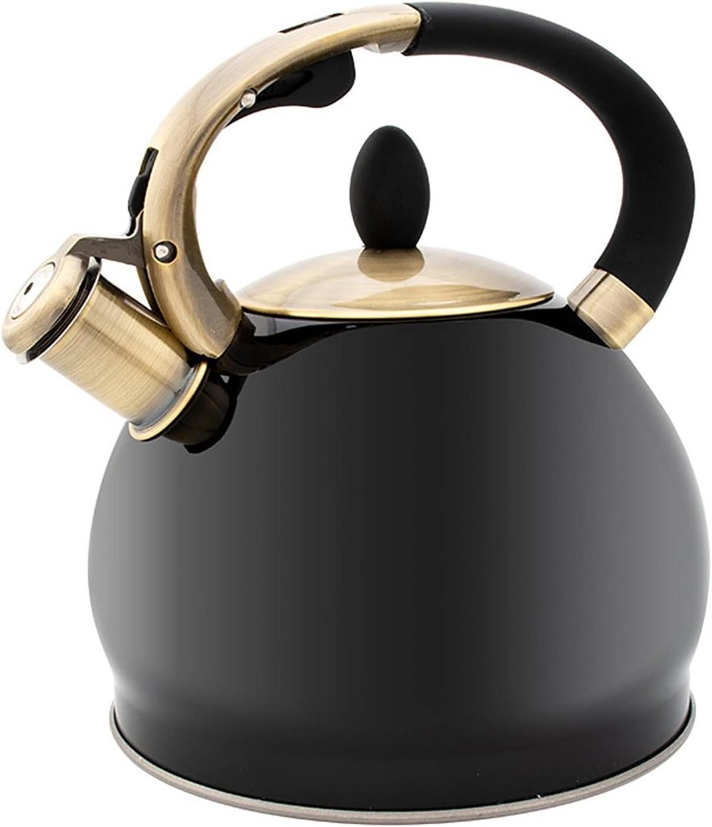 Huishoudelijke Theeketel - Fluitketel Kookplaat - Water Koken - Roestvrij Staal - 35 Liter - Zwart