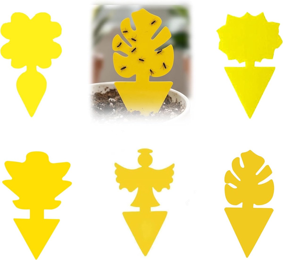 Gele stickers tegen rouwmuggen - dubbelzijdige plakval - insecticidevrij - eenvoudig gebruik voor kamerplanten - ShopVlot