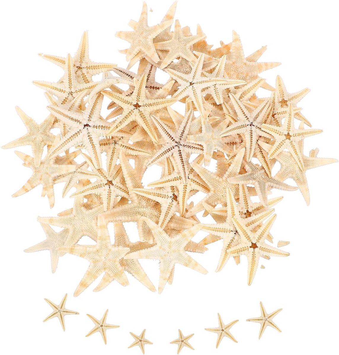 60 stuks zeesterren voor knutselwerk, kleine natuurlijke zeesterren, los voor bruiloftsdecoraties met strandthema, feest, decoratie, wit