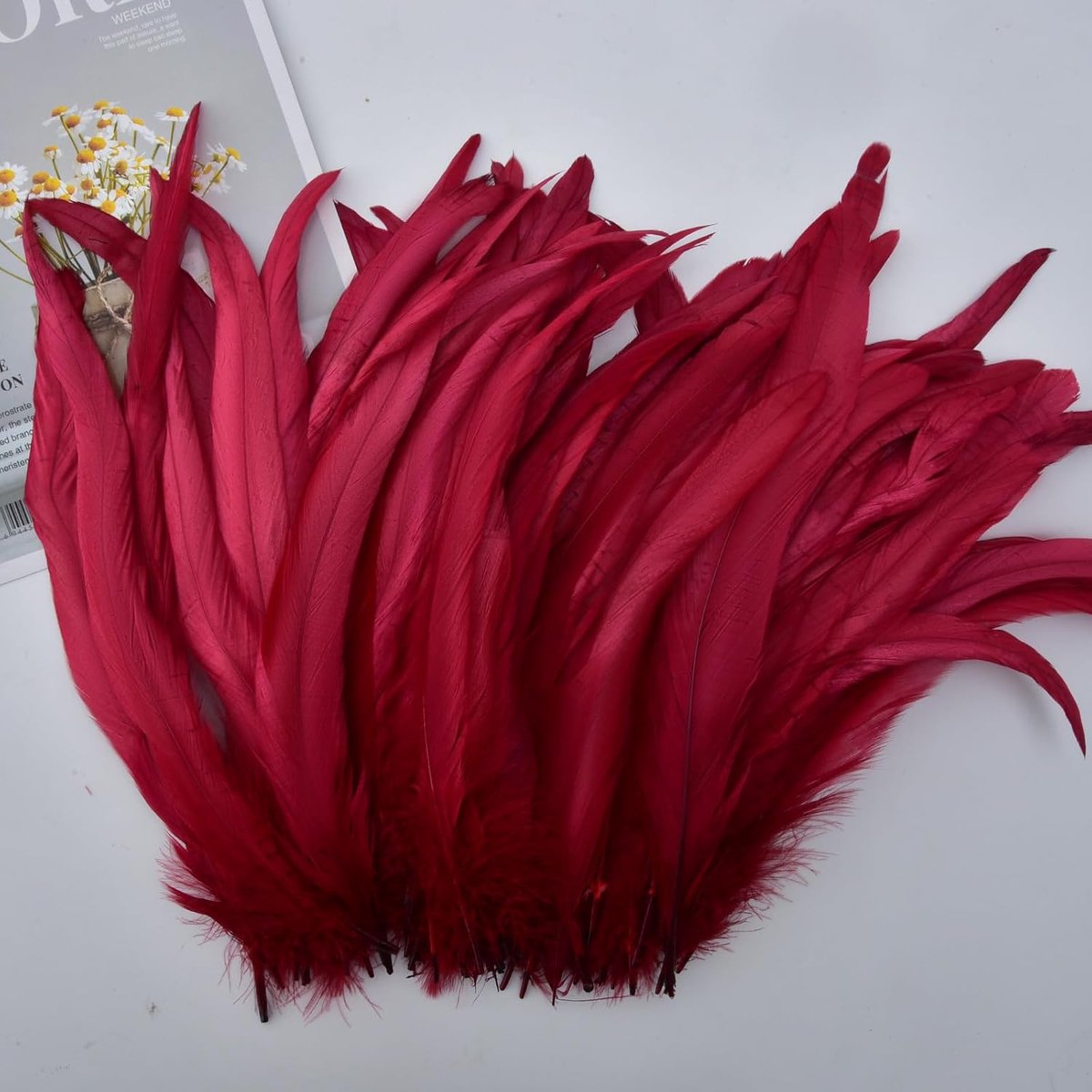 Veren, 25-30 cm, verpakking met 50 stuks, meerkleurig, gedempt voor carnaval, Halloween, bruiloft en dromenvanger, handgemaakt, wit, bordeaux