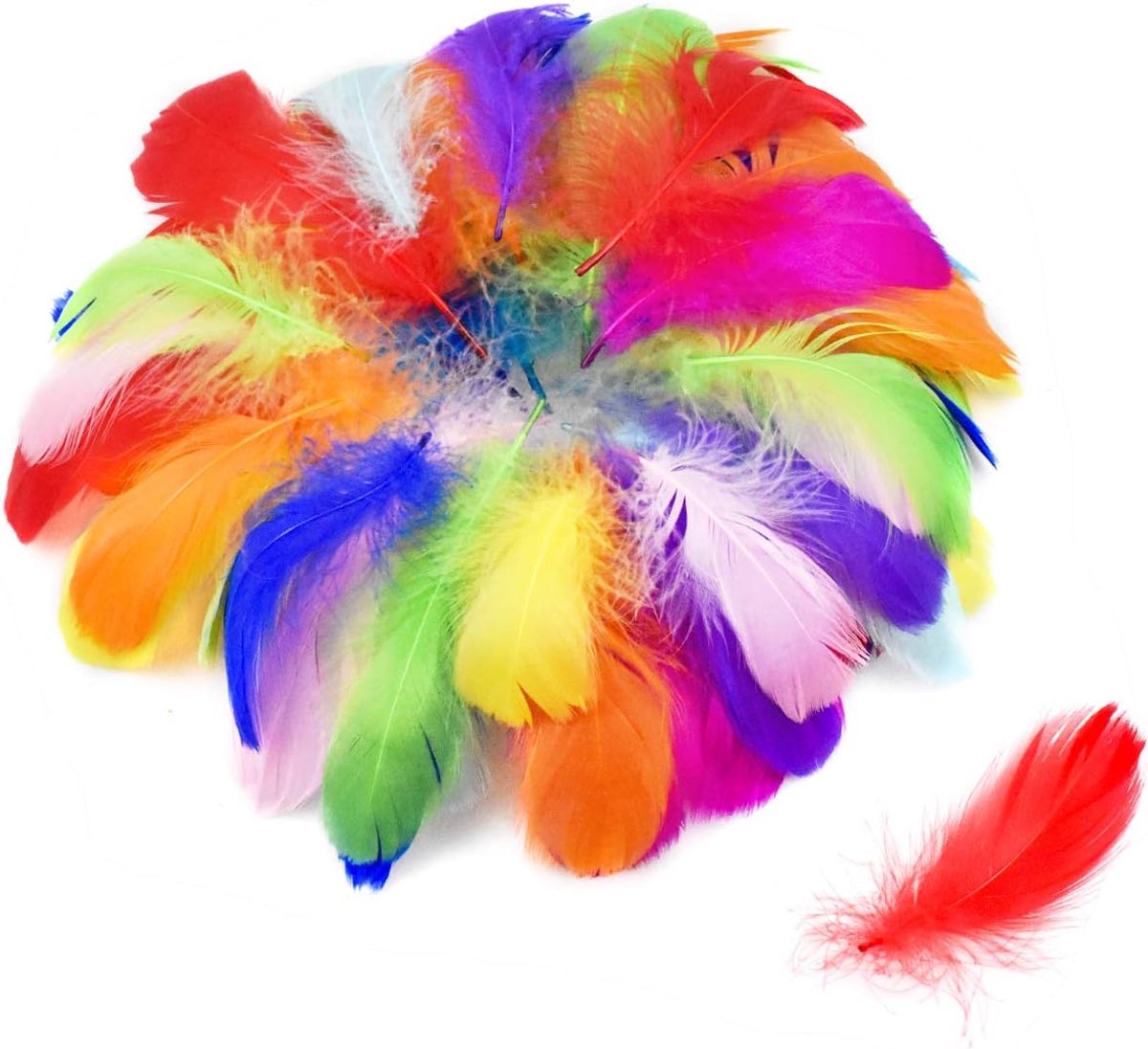 Kleurige veren decoratie - natuurlijke ganzenveren - multicolored voor DIY en ambachten - ideaal voor huisdecoratie - ShopVlot