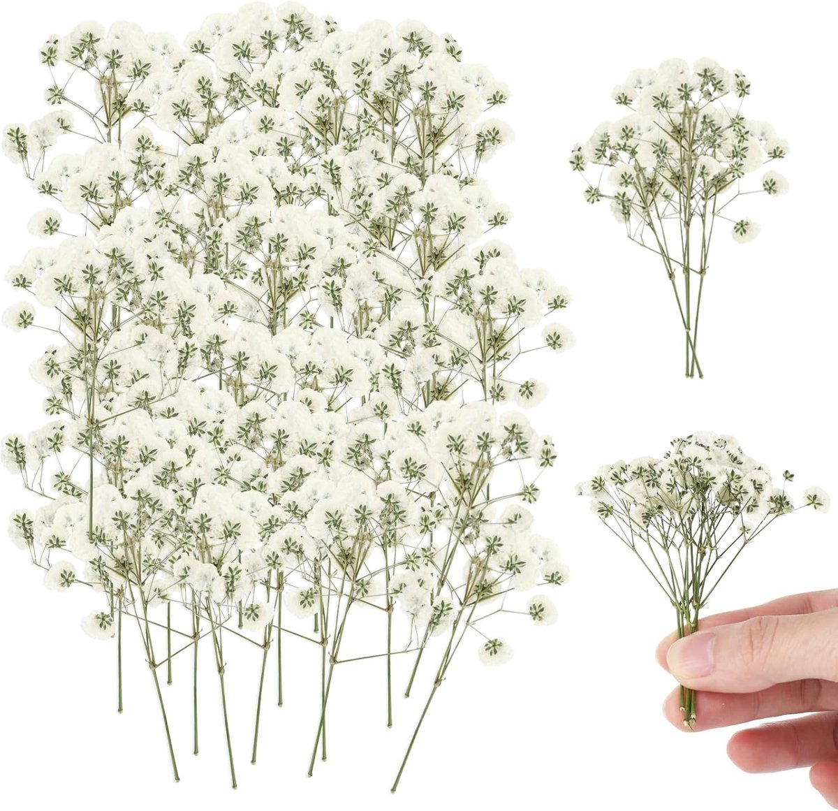 Drogen bloemen 150 stuks - witte Gypsom bloemen - variabele maten - perfect voor DIY creaties - ShopVlot