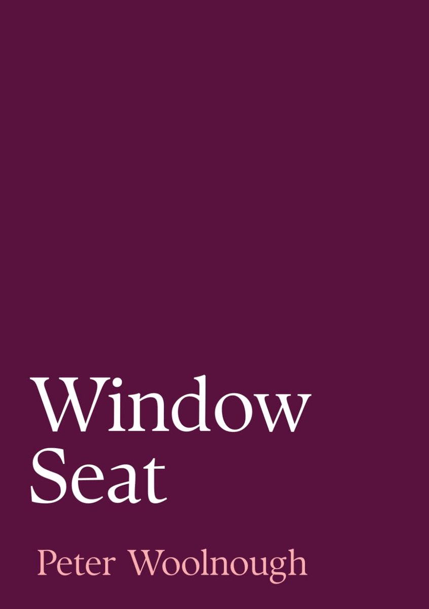 SnelShoppen - Comfortabele Window Seat voor Binnen en Buiten, Stijlvol en Ruimtebesparend, Ideaal voor Kinderen en Volwassenen, Verstelbare Kleur en M