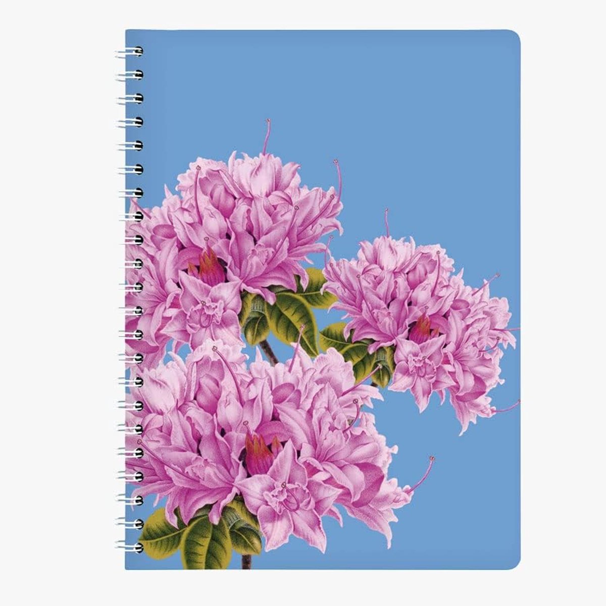 Ringbuch A4 Azalee