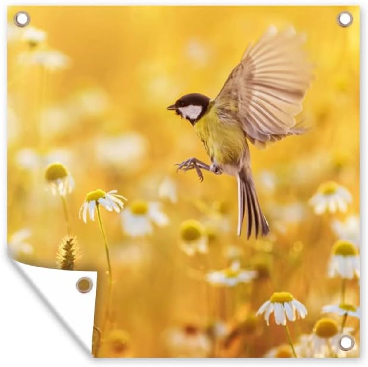 Tuinposter - 200x200 cm - Vogel - Koolmees - Bloemen - Margriet
