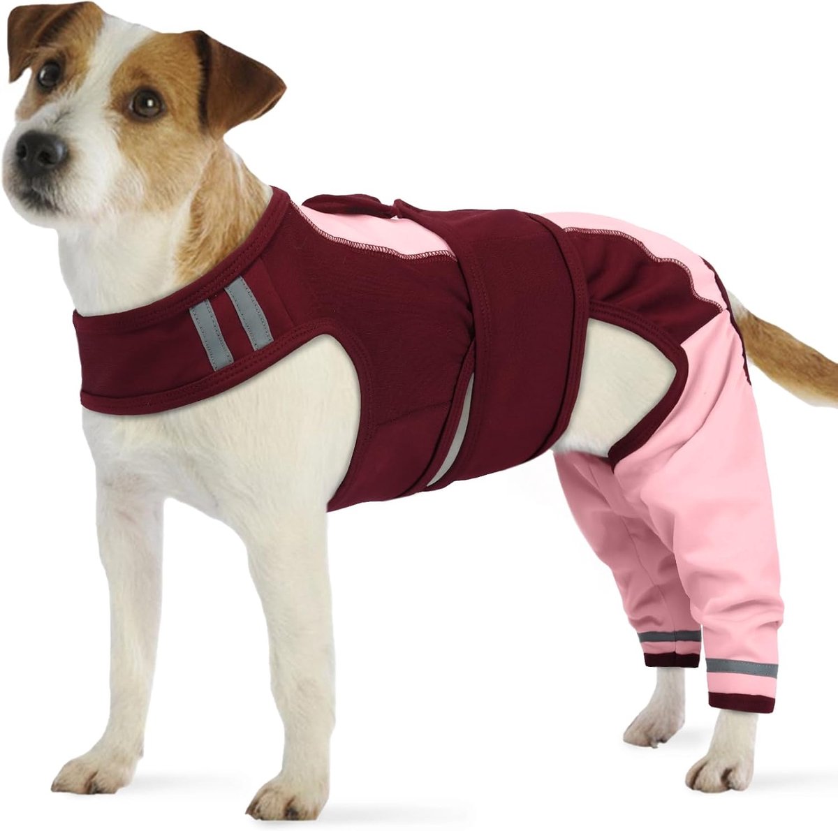 Lichaam na operatie hond, overall na operatie, vrouwelijk, lichaam na operatie, mannelijk, bescherming van de achterste poten, hond, herstelpak voor beenoperaties (roze, XS)
