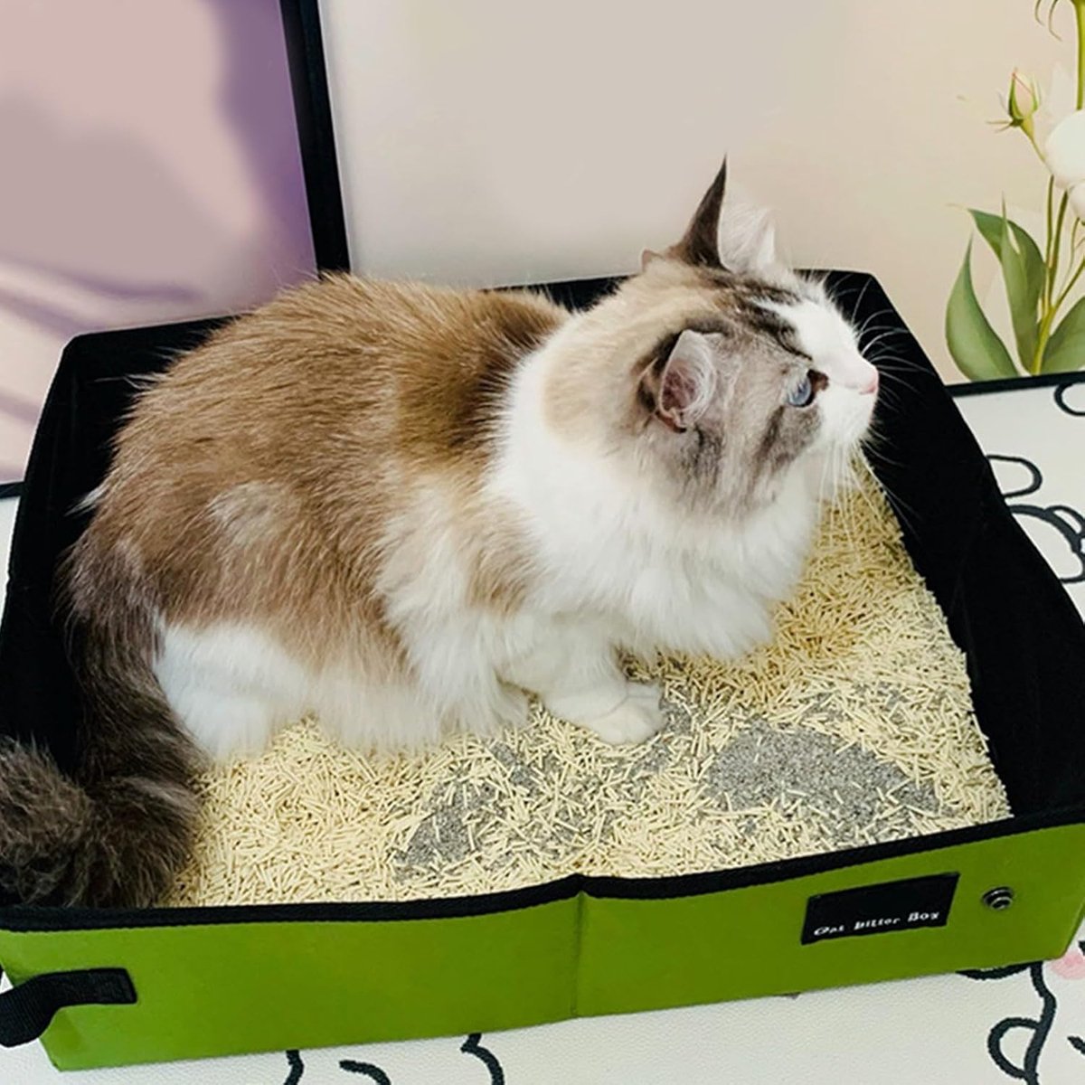 Kattenbak voor reizen - Opvouwbare kattenbak - Reizen met huisdier - Waterdicht en lekvrij - XL - Oranje