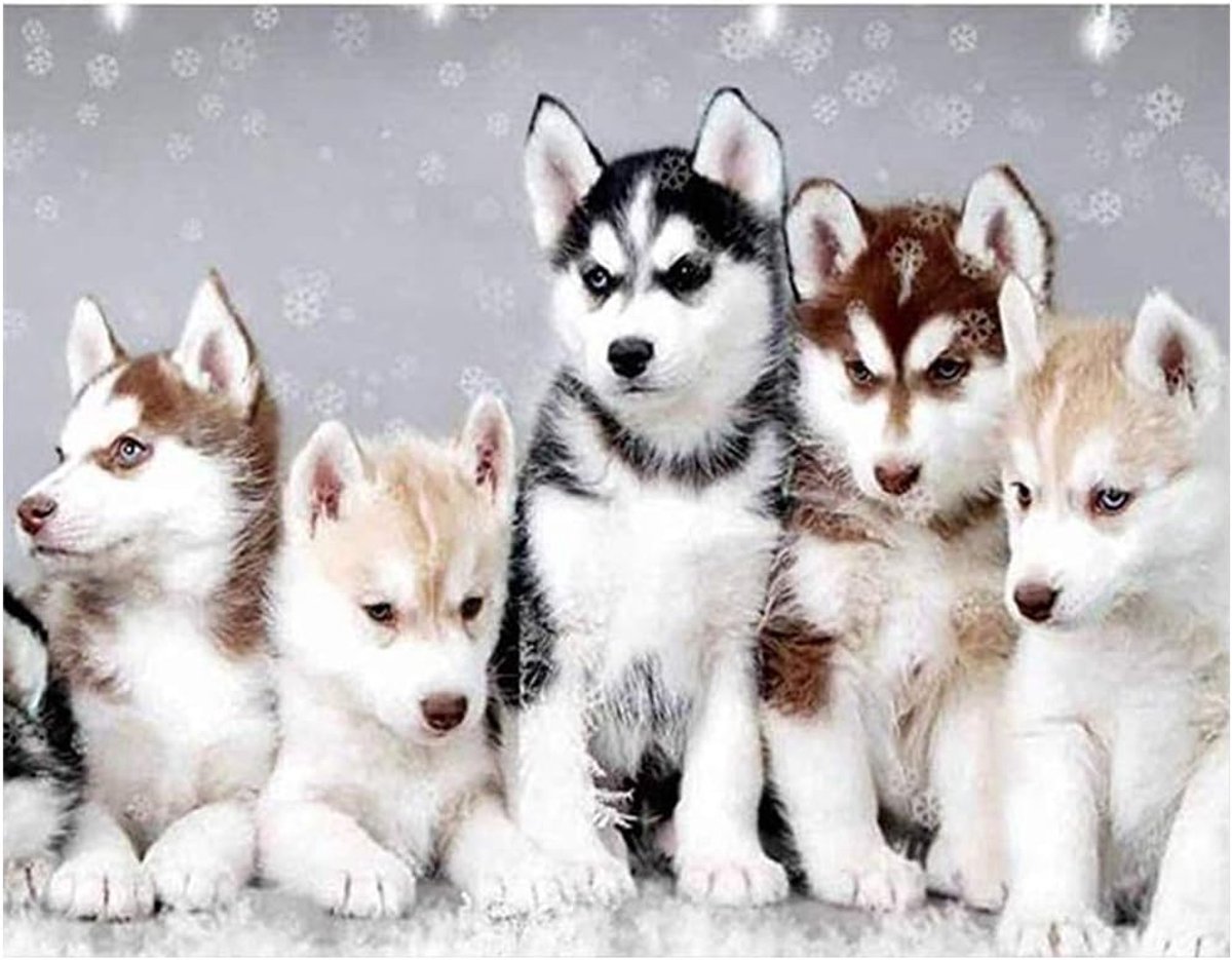 Kits Full Drill Husky Family DIY Art Cross Stitch Set Full Drill Square Diamond Art Wall Painting Pictures Embroidery DIY Stitch Crystal Mosaic for Home Decor