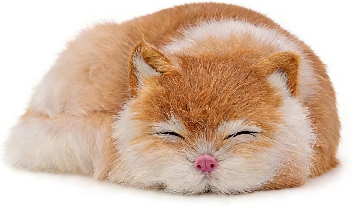 Kat, oranje, 20 cm, schattig en realistisch pluche dier, zacht en pluizig kittenkussen, kerstcadeau en verjaardag, ideaal voor kinderen, decoratie huis en auto