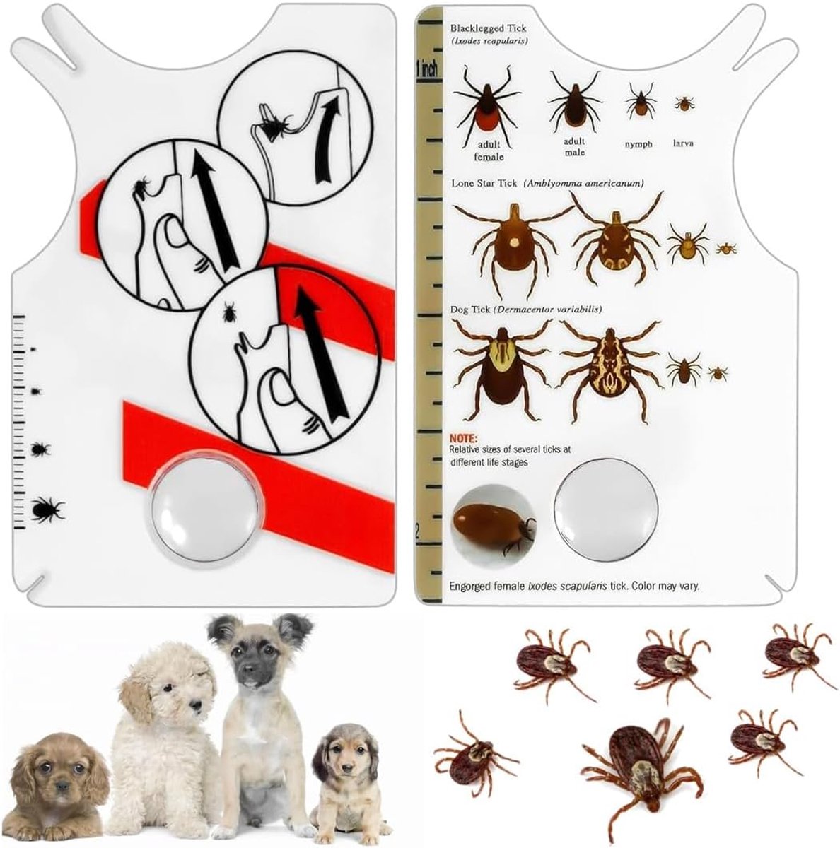 Tekenpincet, 2 stuks, met vergrotingslens, tekenverwijderaar voor mensen, kinderen, honden en katten, snelle en veilige verwijdering van teken