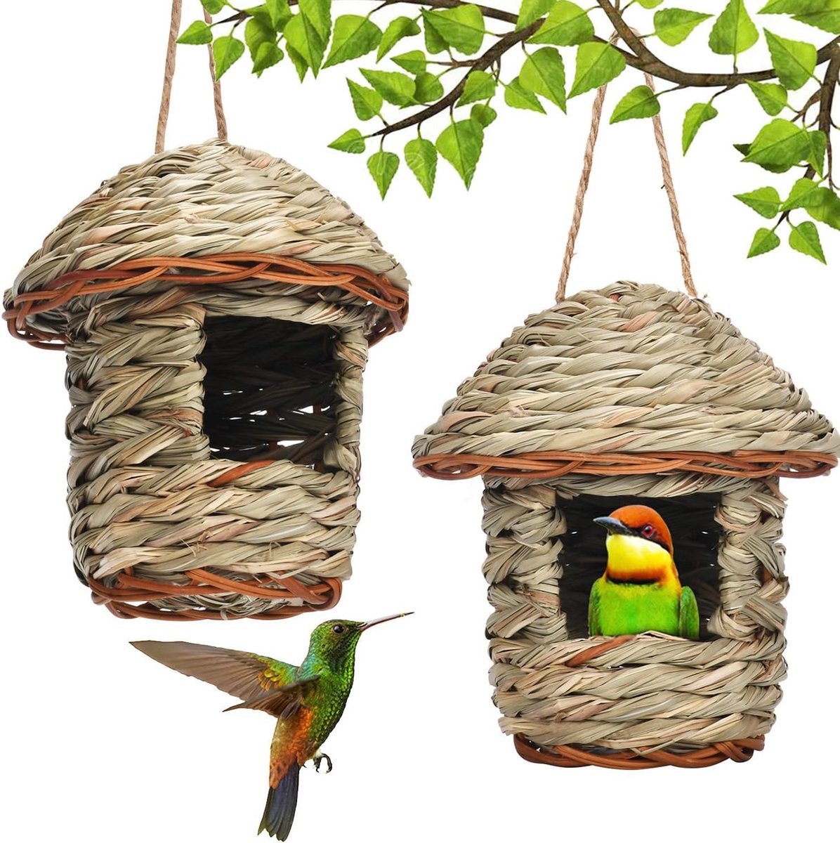 Vogelnestje 2 Stuks - Handgeweven Gras - Ademend en Warm - Perfect voor Kleine Vogels - ShopVlot