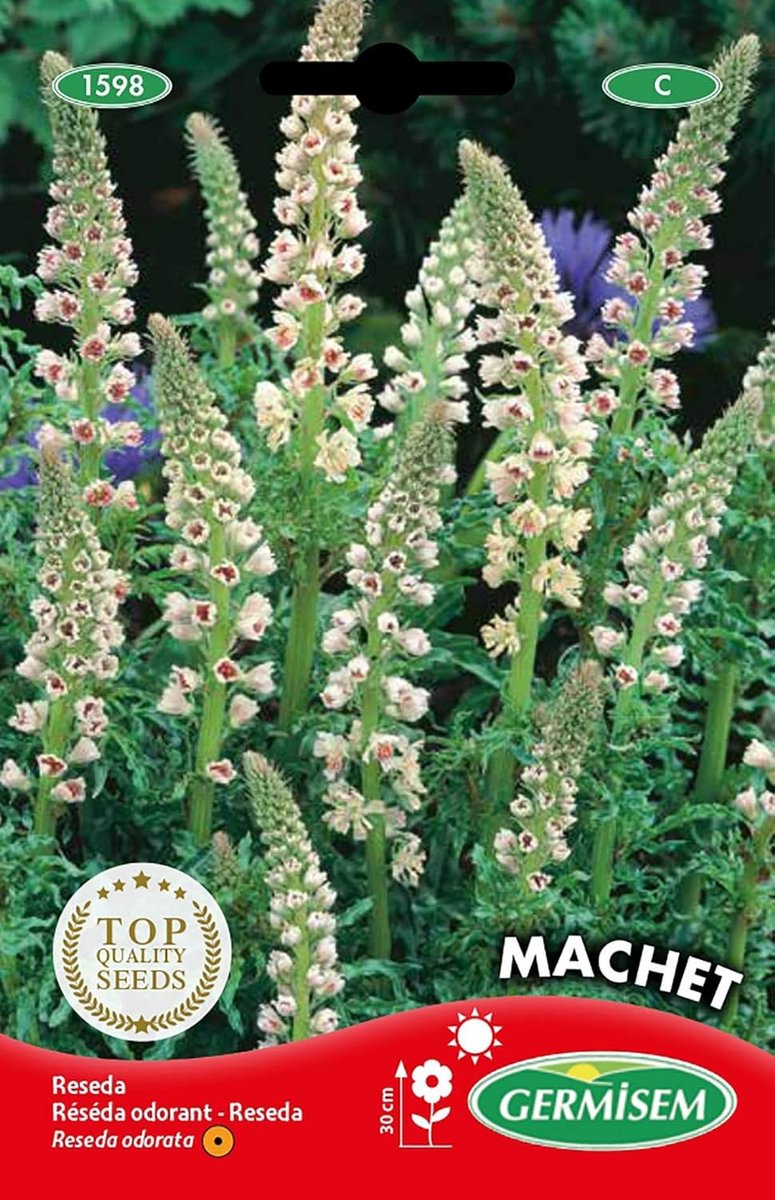 Tuin Zaden - Gemengde Bloemen - Eenvoudig te Verplanten - Kleurige Bloei - Voor Tuinliefhebbers