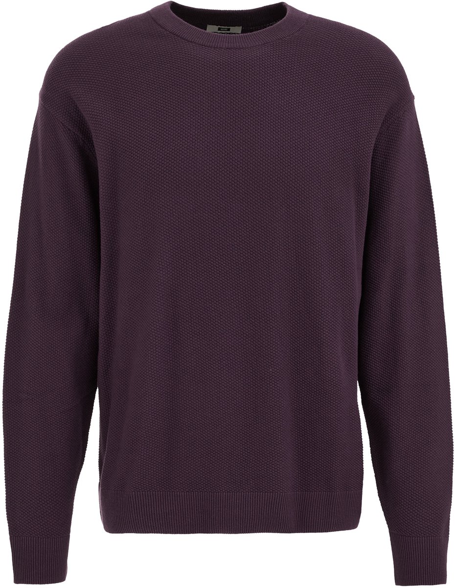 WE Fashion Heren regular fit gebreide trui met structuur