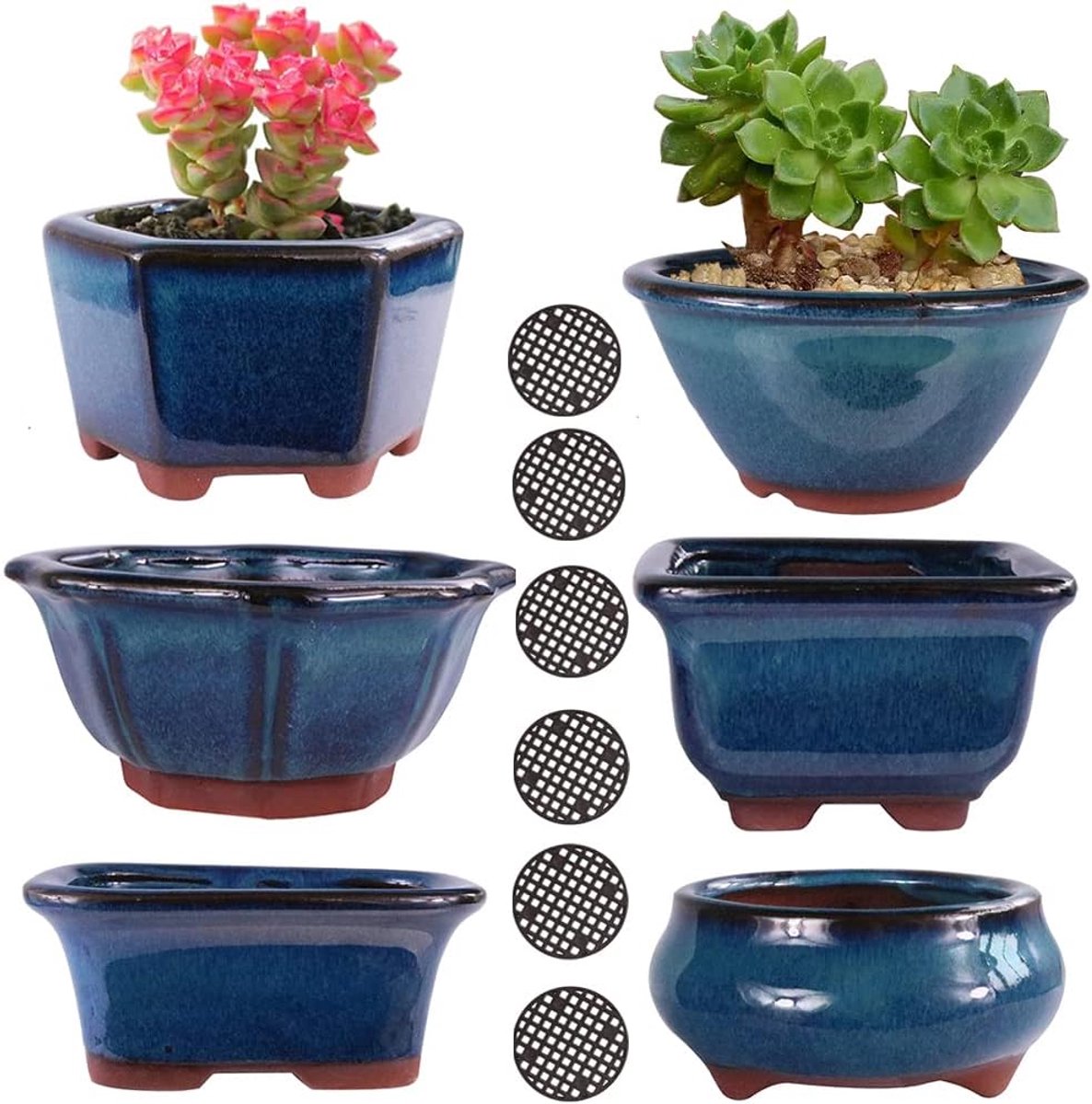 SnelShoppen - 6 Pack Glazuur Yixing Zisha Bonsai Potten 3-4 inch, Decoratieve Mame Bonsai Opleidingspotten of Kleine Bloem Succulent Cactus Startconta