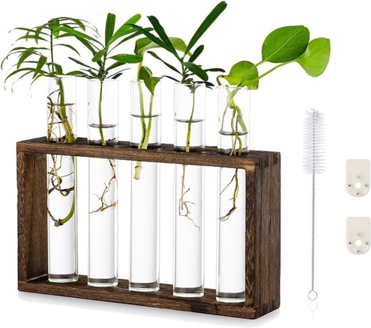 Moderne Kweekstation Planter met Glazen Vazen en Houten Stand voor Hydrocultuur Planten