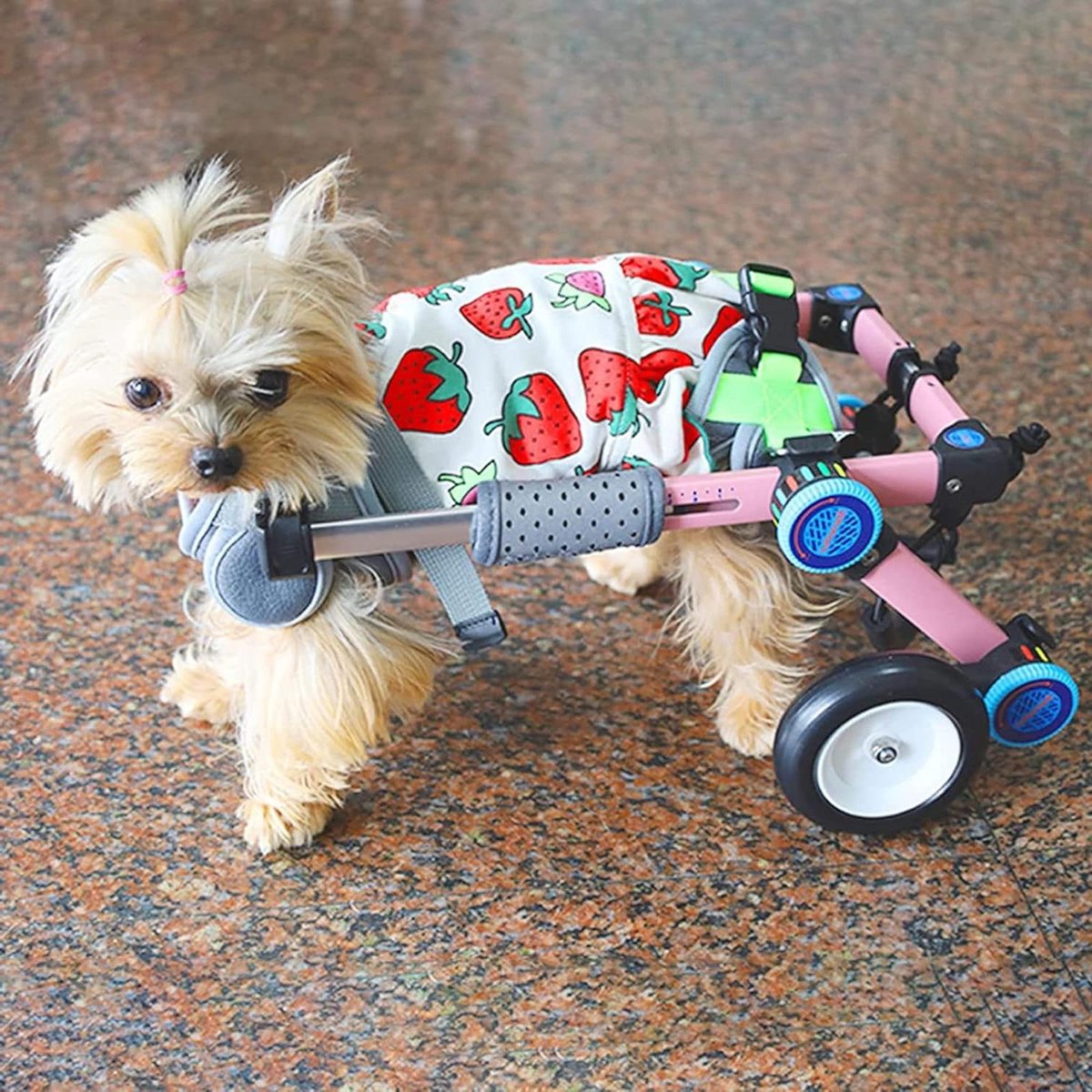 Honden Rolstoel - Hond Kar - Huisdier Revalidatie - Lichtgewicht Aluminium Frame - Verstelbaar - Zilver