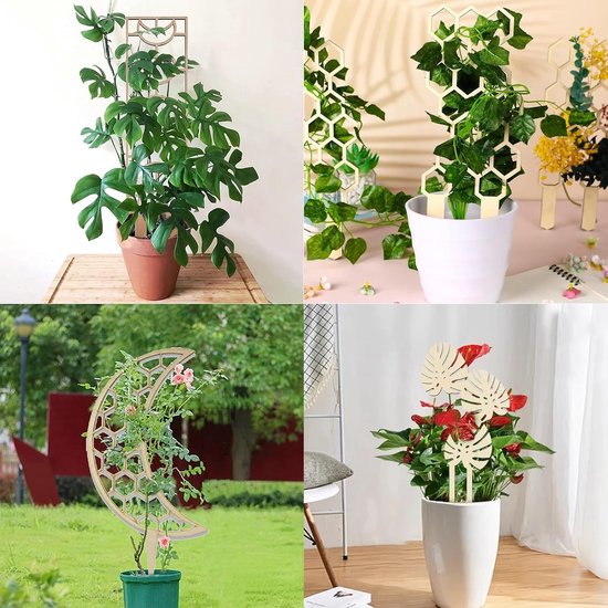 Vier foto's van planten met houten klimrekken: een grote plant met een rechthoekig rek, twee planten met honingraatrekken, een maanvormig rek met bloemen en een plant met monstera-bladeren.