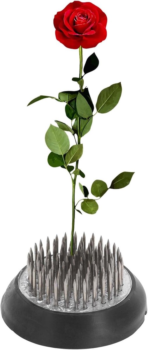 SnelShoppen - Flower Frog voor Bloemstukken RVS Met Conen 46mm Bloemstandaard Zilver Geschikt Voor Feest, Tuin, Creatief Gebruik