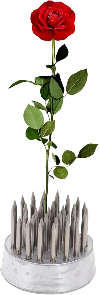 SnelShoppen - Flower Frog voor Bloemstukken, RVS Bloemsteun met Pin 23 mm, Zilver, Ideaal voor Tafelversieringen en Creatieve Projecten