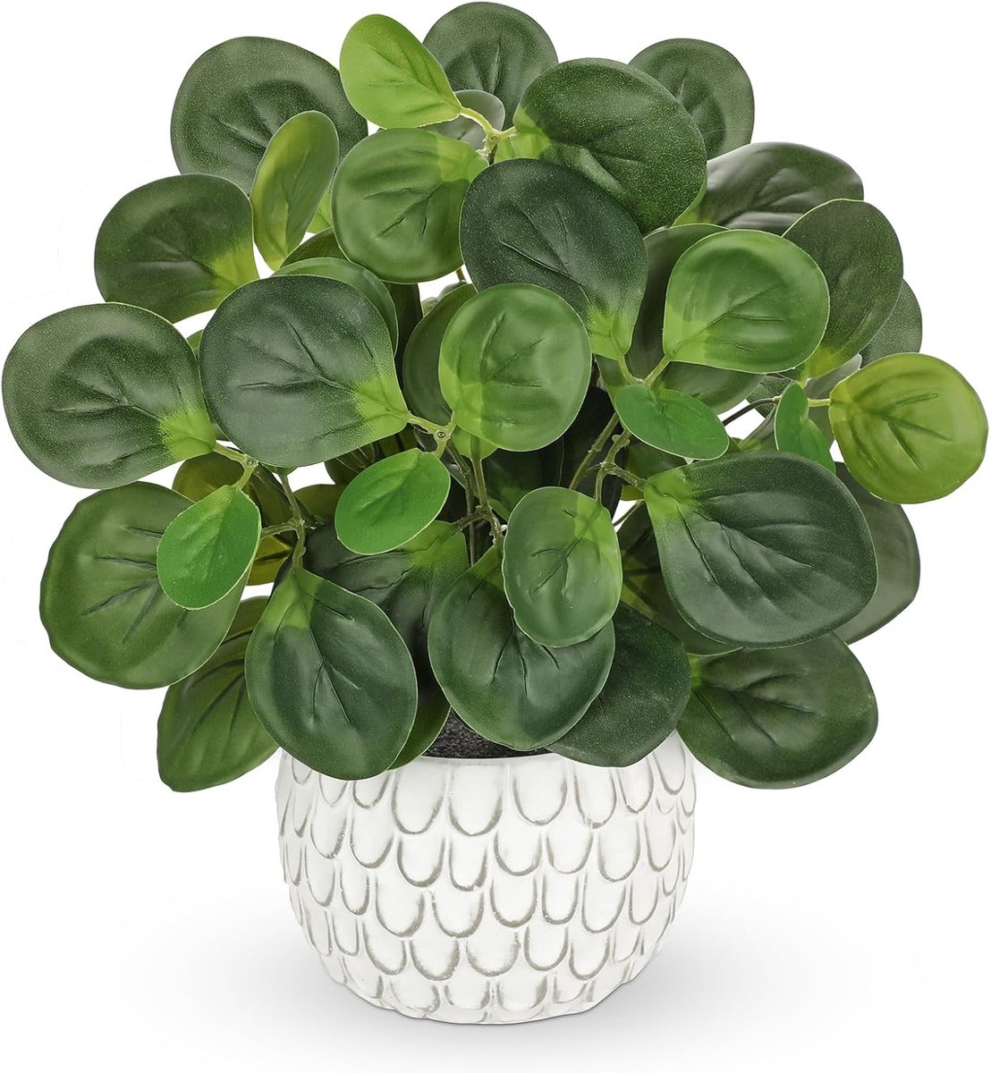 SnelShoppen - Kunstplant Peporomia met Muntbladeren in Pot - Realistisch Desk Decoratie voor Thuis, Kantoor en Balkon - Kunststof Planten voor Binnen