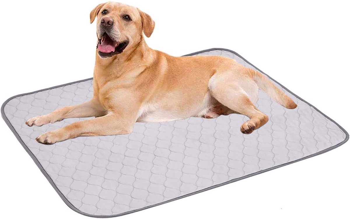 Waterdichte Hondmat - Antislip Puppy Training Pads, Wasbare Hond Plasmatten, 45x60 cm, Grijs, Ideaal voor Puppy’s en Honden
