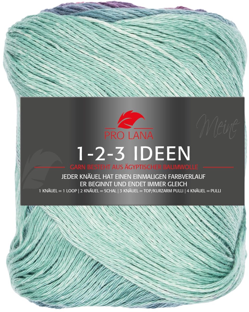 Pro Lana 1-2-3 Ideeën 33 - roze/mint - ShopVlot