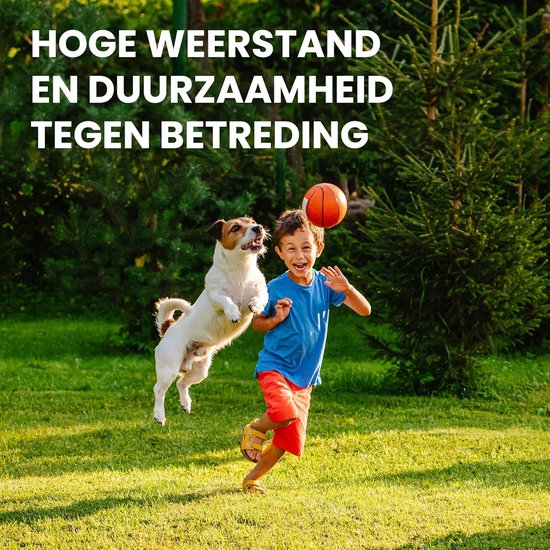 Graszaad - Gazon herstellen - Snel groen gazon - Snelgroeiende formule - 30 m² - Groen — afbeelding 2