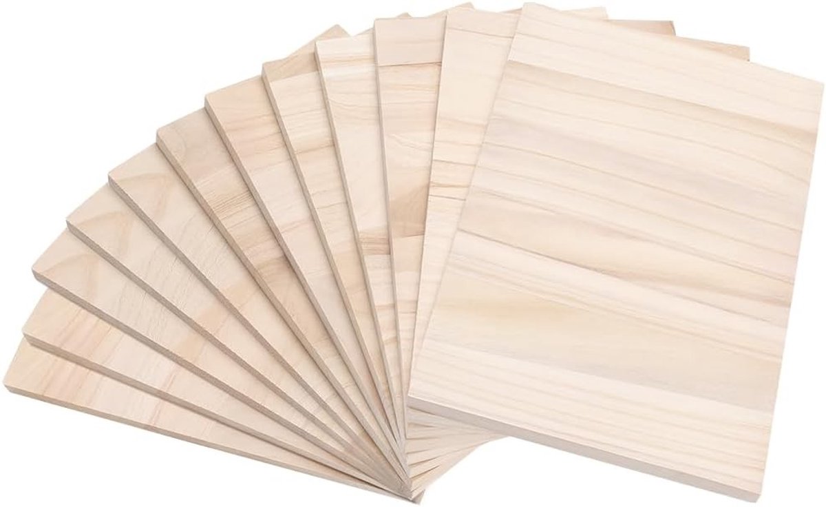 12 Stuks Houten Breekplanken voor Karate en Taekwondo - Ideaal voor Volwassenen en Training Accessoires 30 x 20 cm
