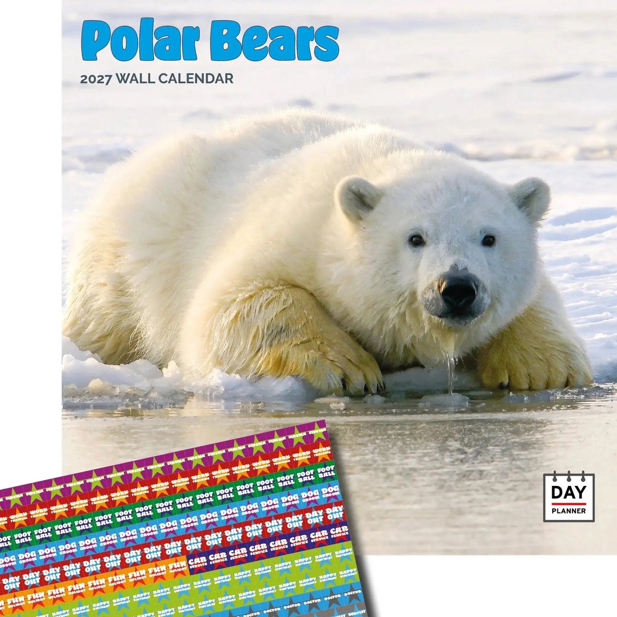 IJsberen Kalender 2027