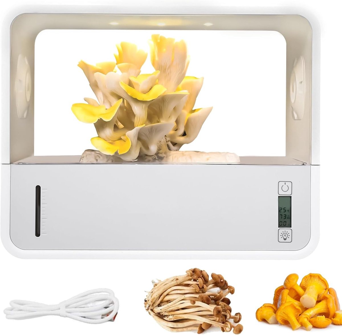 Voedingsluchtbox voor Paddenstoelen, Groeitent met Transparante Privacydeur, Automatische LED Verlichting en Staande Luchtbox voor Paddenstoelenliefhebbers