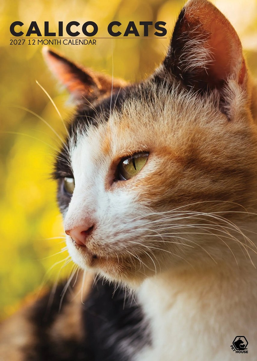Calico Katten A3 Kalender 2027
