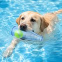 Labrador zwemt met blauwe fles met bal in zijn bek.