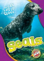 Ocean Life Up Close - Seals